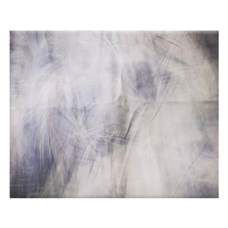 ปลอกผ้านวม EXOTICA 31XP SWBL 100X90 นิ้ว_4