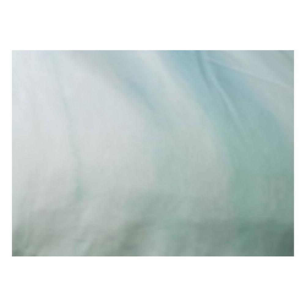 ปลอกผ้านวม EXOTICA 31XP KGBE 100X90 นิ้ว