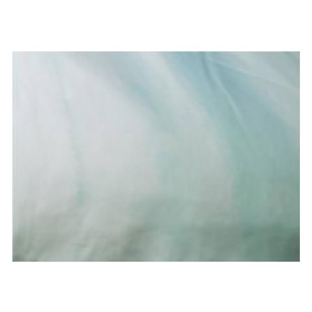 ปลอกผ้านวม EXOTICA 31XP KGBE 70X90 นิ้ว_4