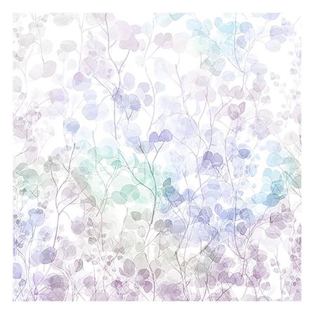 ปลอกหมอนหนุน EXOTICA 31XP KGBE_1