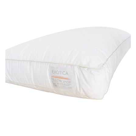 หมอนหนุน ไมโครไฟเบอร์ EXOTICA TOUCH DOWN 19x29 นิ้ว_3