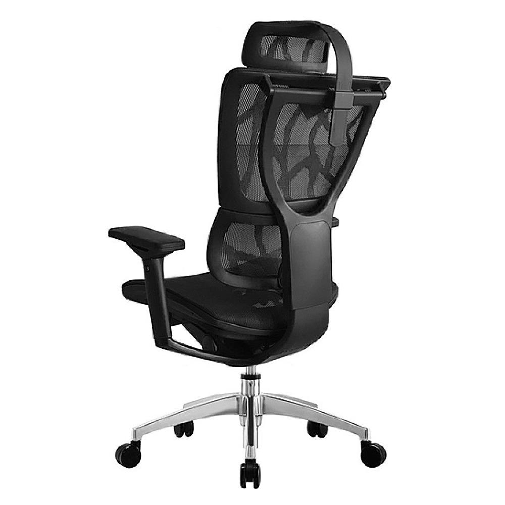 เก้าอี้สุขภาพ ERGOHUMAN IOO สีดำ