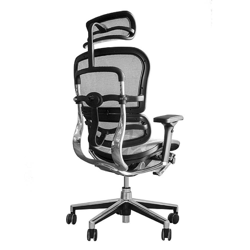 เก้าอี้สุขภาพ ERGOHUMAN 2-P สีขาว