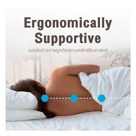 ที่นอน 3.5 ฟุต LOTUS SPRING FREE II พร้อมหมอนหนุน 1 ชิ้น_8