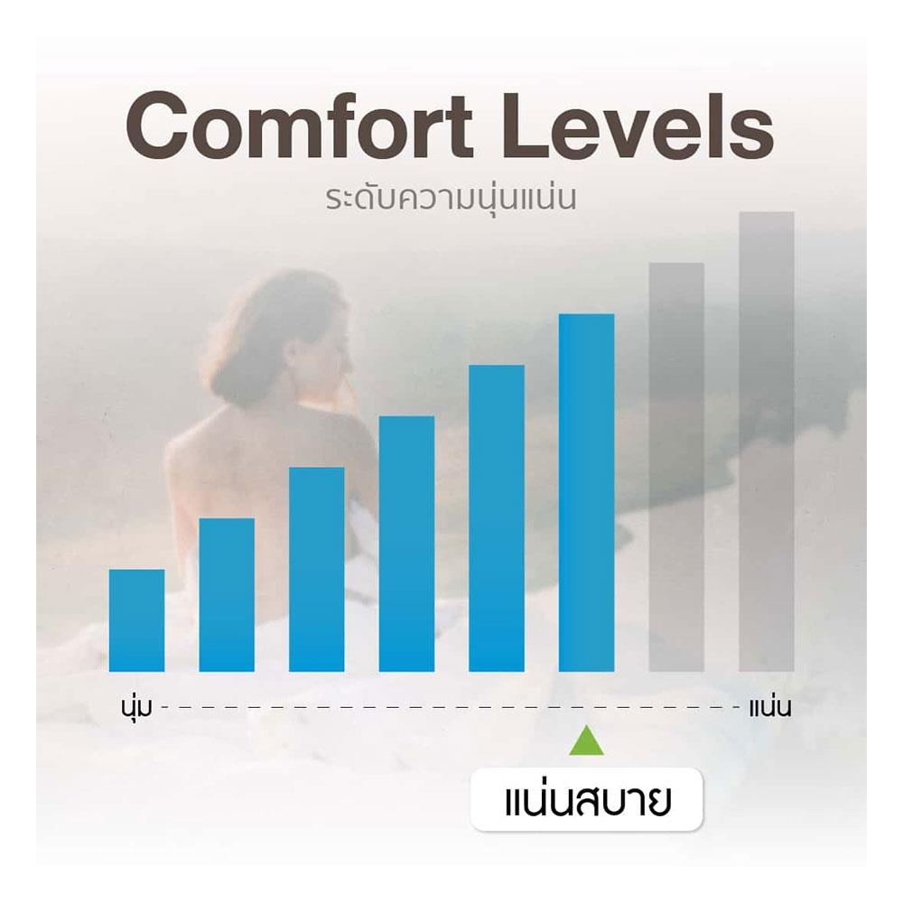 ที่นอน 6 ฟุต LOTUS SPRING FREE II พร้อมหมอนหนุน 2 ใบ