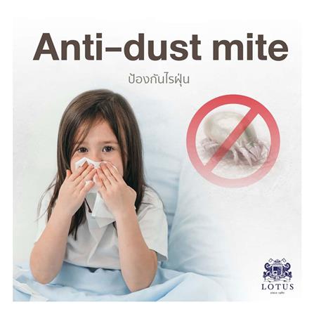 ที่นอน 5 ฟุต LOTUS SPRING FREE II พร้อมหมอนหนุน 2 ใบ_13