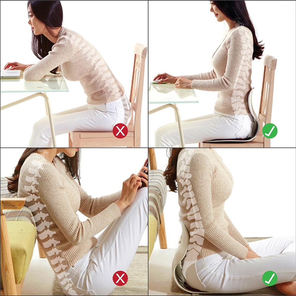 เบาะรองนั่ง ERGOTREND COMBI-CHAIR สีดำ