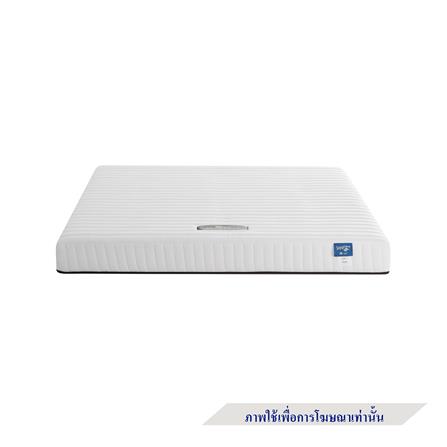 ที่นอน 3.5 ฟุต LOTUS SPRING FREE I พร้อมหมอนหนุน 1 ใบ_1