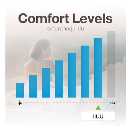 ที่นอน 3.5 ฟุต LOTUS SPRING FREE I พร้อมหมอนหนุน 1 ใบ_10