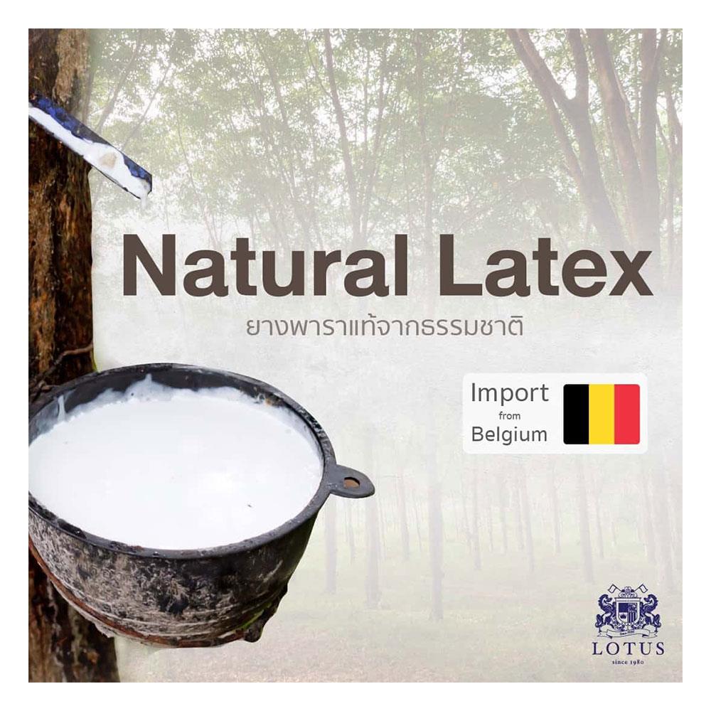 ที่นอน 5 ฟุต LOTUS SPRING FREE I พร้อมหมอนหนุน 2 ใบ