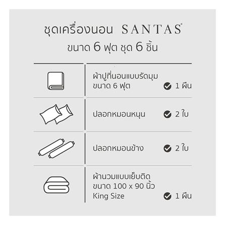 ชุดผ้าปูที่นอน 6 ฟุต 6 ชิ้น SANTAS CORSAGE สี OROSE_5