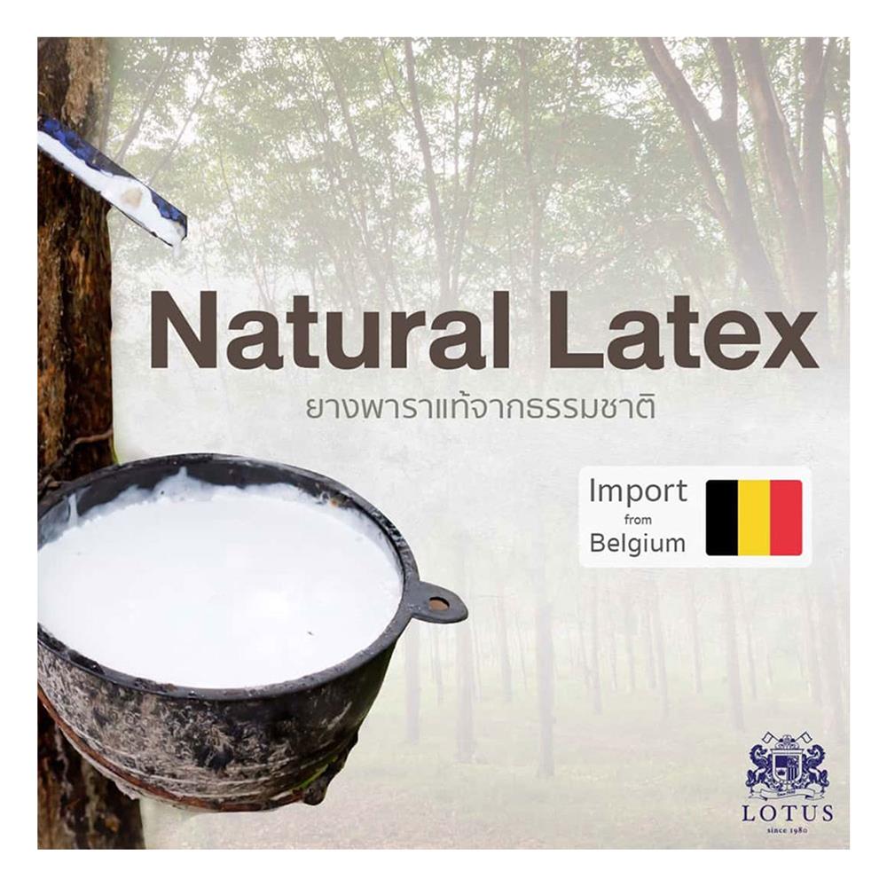 ที่นอน 3.5 ฟุต LOTUS SPRING FREE III พร้อมหมอนหนุน 1 ชิ้น