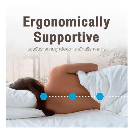 ที่นอน 3.5 ฟุต LOTUS SPRING FREE III พร้อมหมอนหนุน 1 ชิ้น_9