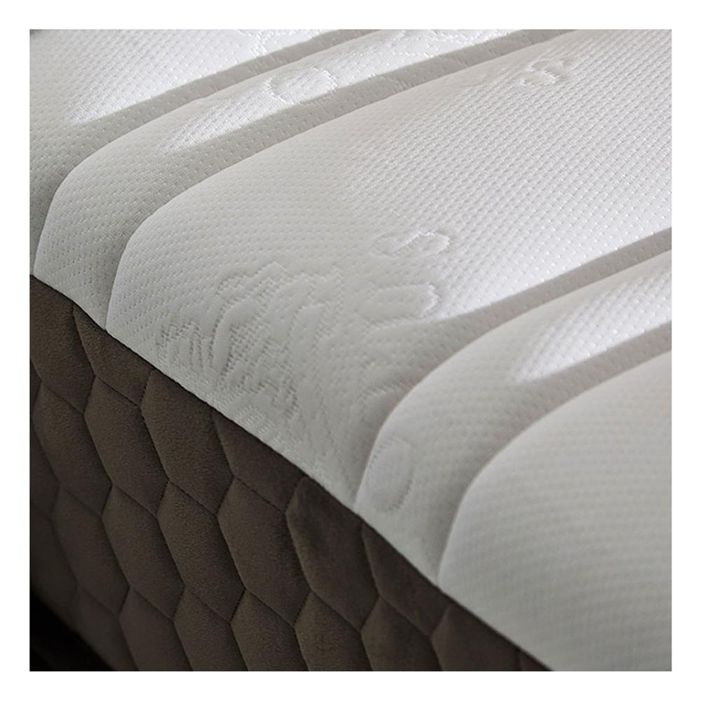 ที่นอน 5 ฟุต LOTUS SPRING FREE III พร้อมหมอนหนุน 2 ชิ้น