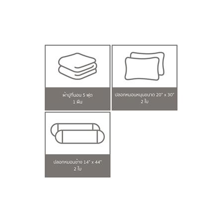 ชุดผ้าปูที่นอน 5 ฟุต 5 ชิ้น SATIN PLUS THOMAS PL001_5