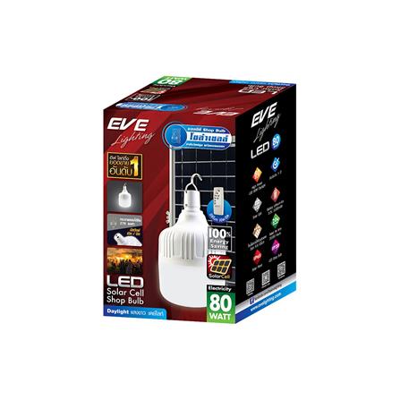 ไฟจัดสวน SOLAR EVE 595699 80 วัตต์ DAYLIGHT สีขาว_4