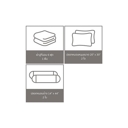 ชุดผ้าปูที่นอน 6 ฟุต 5 ชิ้น SATIN PLUS THOMAS PL001_5