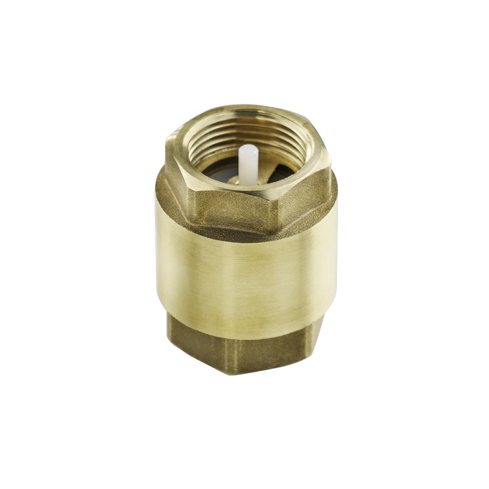 เช็ควาล์ว ANA 2 นิ้ว สีทอง