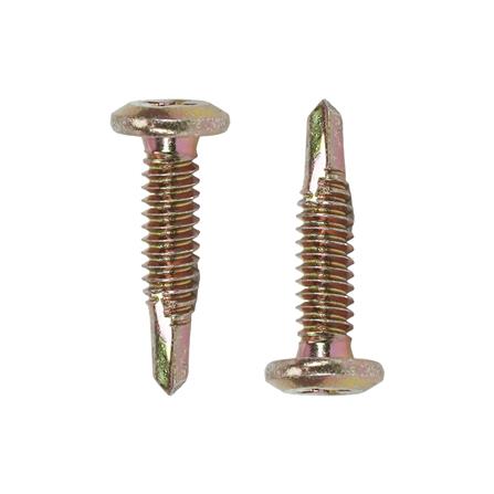 สกรูยึดหลังคาเมทัลชีท DEXZON WF#10-24x22 มม. (แพ็ก 25 ชิ้น)_1