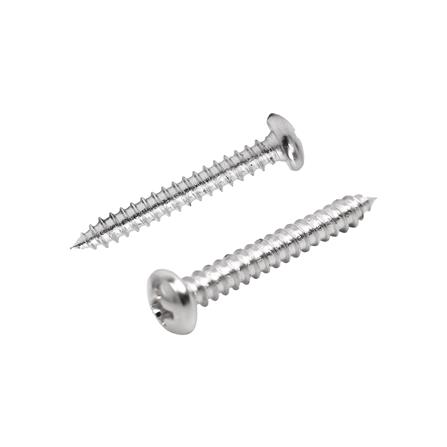 สกรูเกลียวปล่อย TP DEXZON 6X1 นิ้ว 500 ตัว