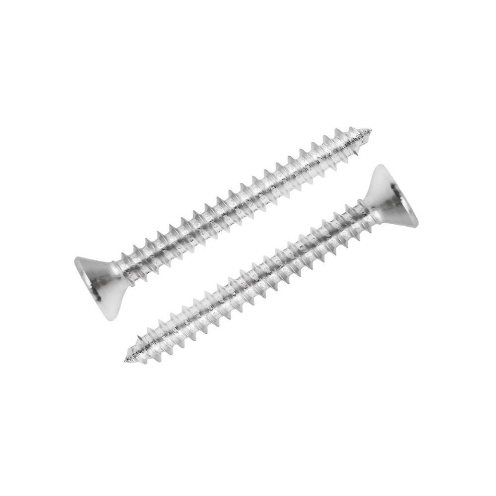 สกรูเกลียวปล่อย TF DEXZON 4X1 นิ้ว 500 ตัว