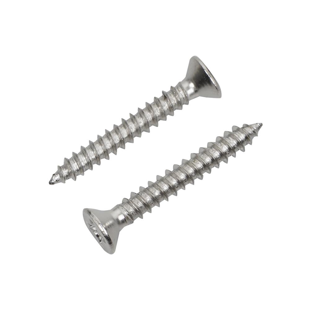 สกรูเกลียวปล่อย TF DEXZON 6X1 นิ้ว 25 ตัว