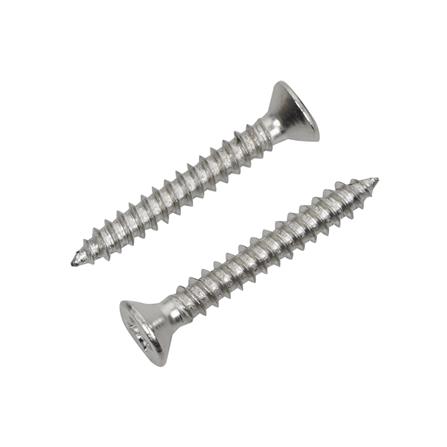 สกรูเกลียวปล่อย TF DEXZON 6X1 นิ้ว 25 ตัว