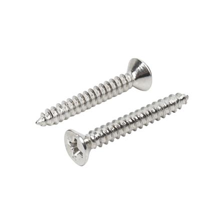 สกรูเกลียวปล่อย TF DEXZON 6X1 นิ้ว 200 ตัว_0