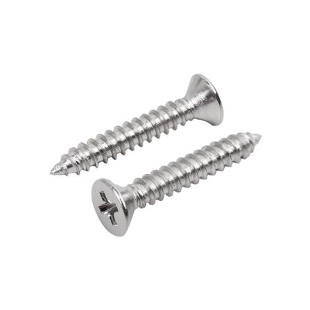 สกรูเกลียวปล่อย TF DEXZON 8X1 นิ้ว 200 ตัว