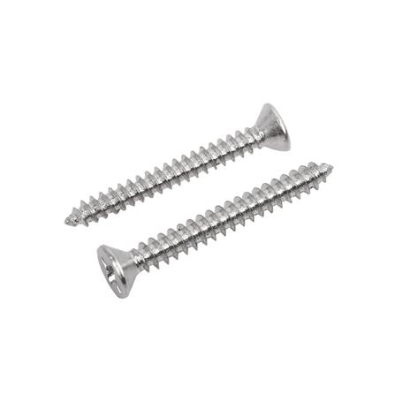 สกรูเกลียวปล่อย TF DEXZON 4X1 นิ้ว 25 ตัว_0