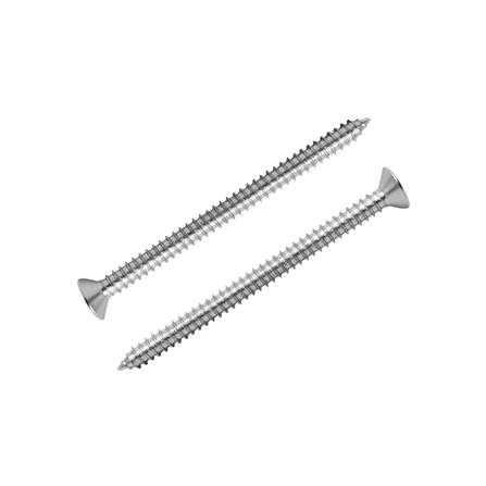 สกรูเกลียวปล่อย TF DEXZON 12X3 นิ้ว 200 ตัว