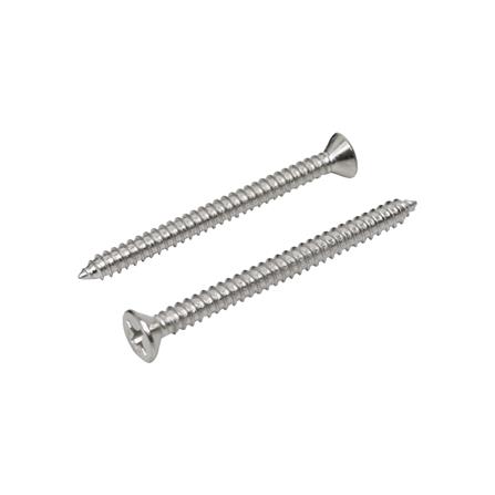 สกรูเกลียวปล่อย TF DEXZON 12X2-1/2 นิ้ว 15 ตัว_0