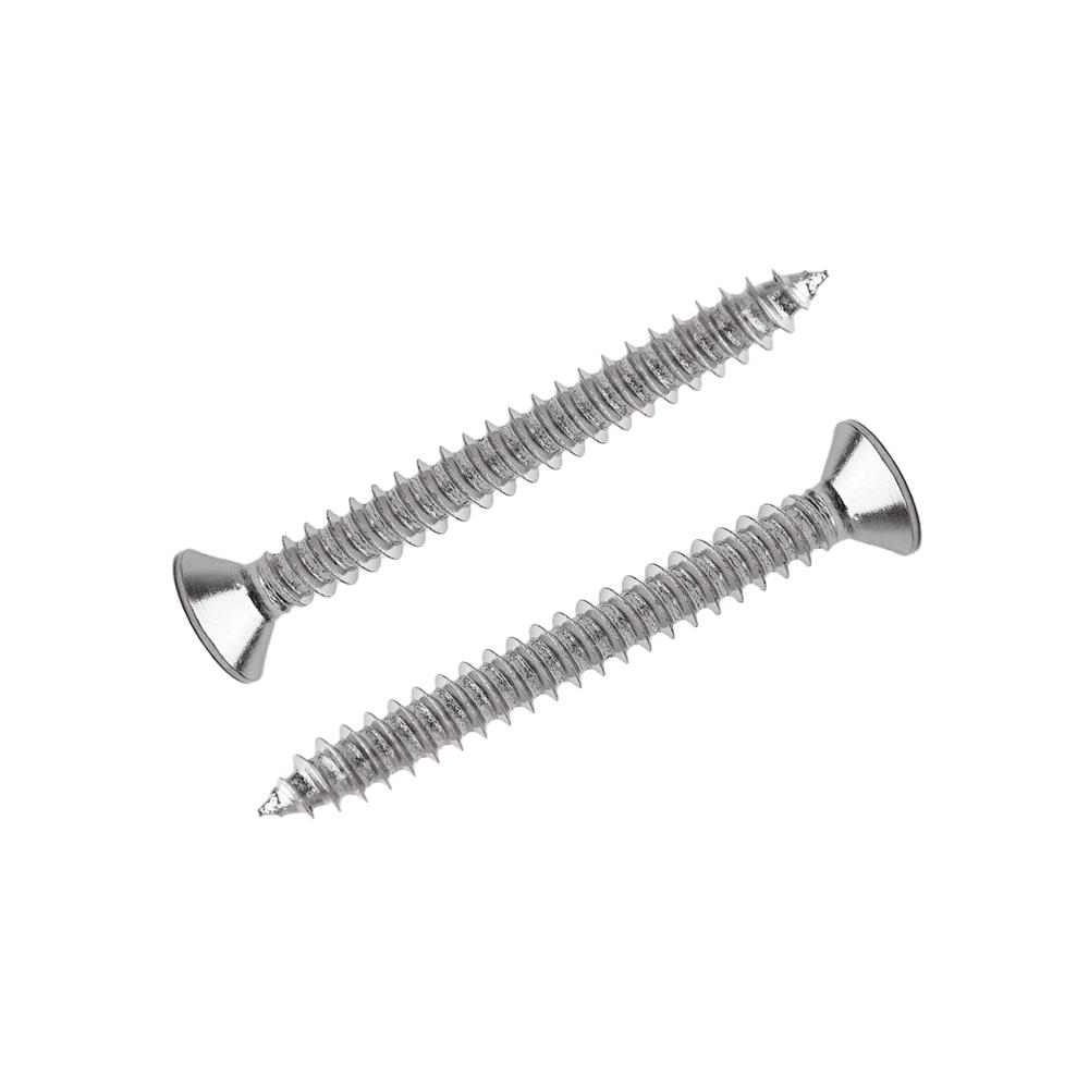 สกรูเกลียวปล่อย TF DEXZON 8X1-1/2 นิ้ว 200 ตัว