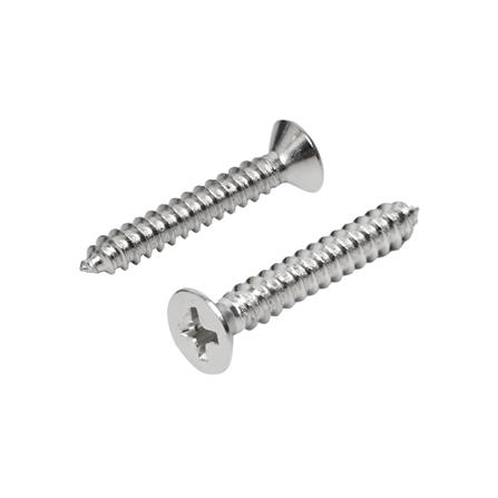 สกรูเกลียวปล่อย TF DEXZON 7X1 นิ้ว 25 ตัว