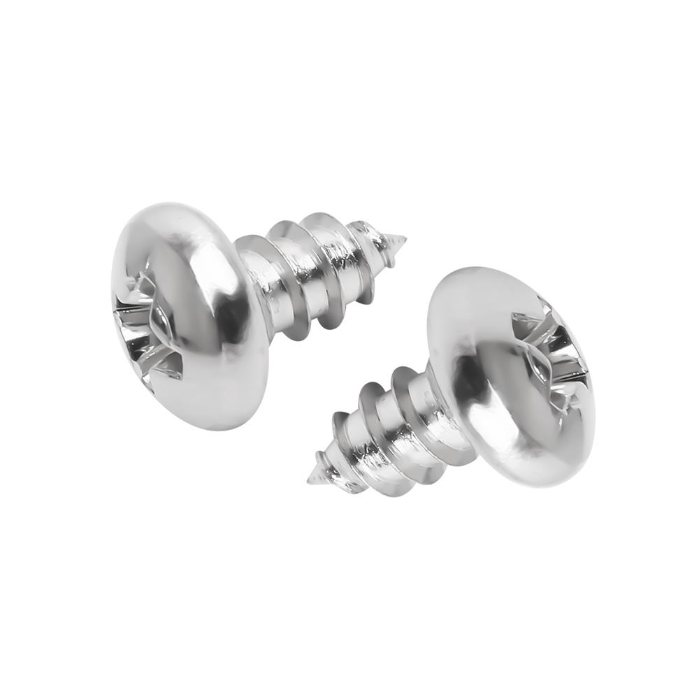 สกรูเกลียวปล่อย TP DEXZON 10X3/8 นิ้ว 25 ตัว