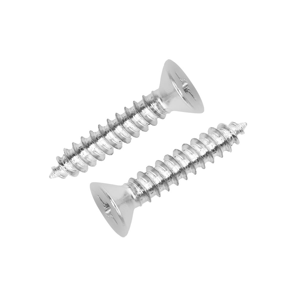 สกรูเกลียวปล่อย TF DEXZON 10X1 นิ้ว 25 ตัว