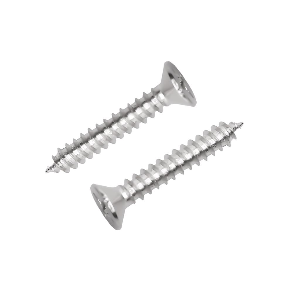 สกรูเกลียวปล่อย TF DEXZON 12X1-1/4 นิ้ว 25 ตัว