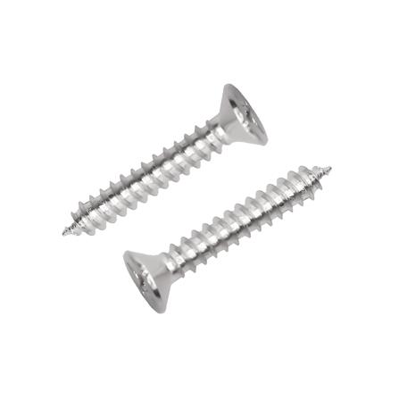 สกรูเกลียวปล่อย TF DEXZON 12X1-1/4 นิ้ว 25 ตัว_0