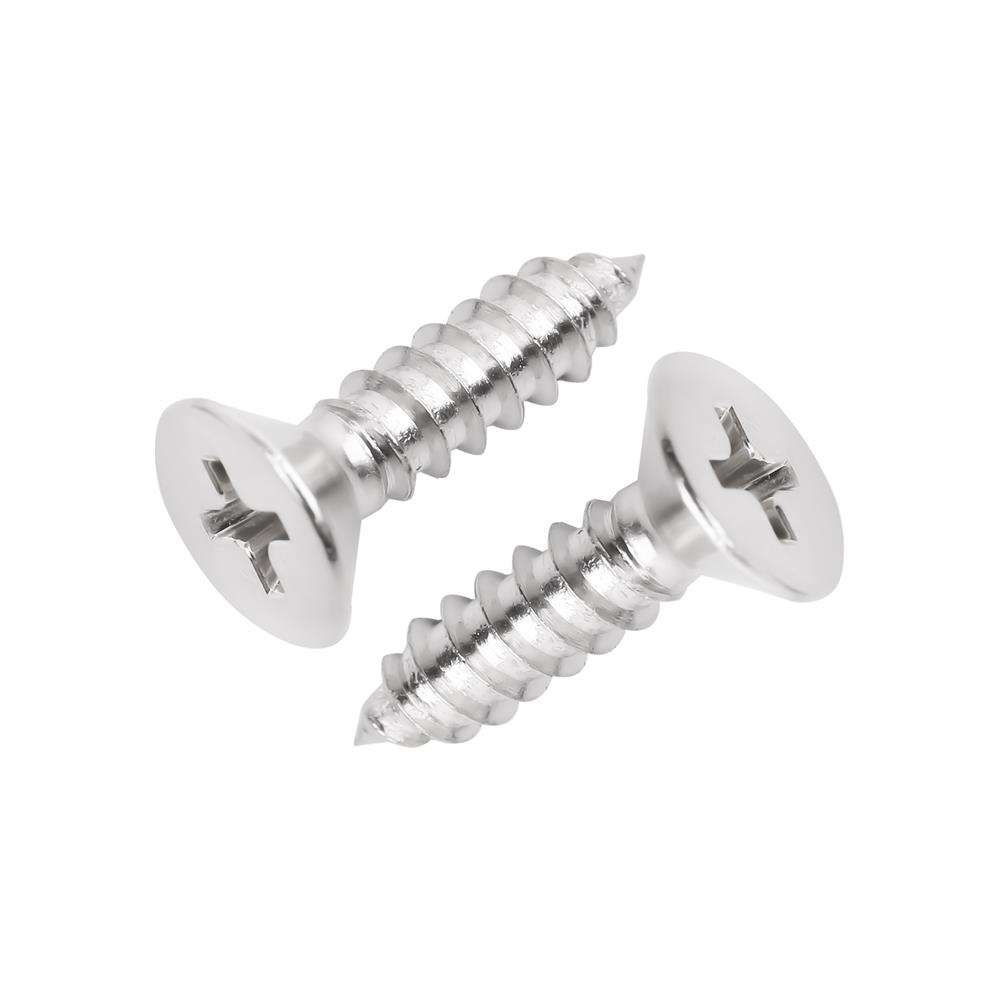 สกรูเกลียวปล่อย TF DEXZON 10X3/4 นิ้ว 25 ตัว