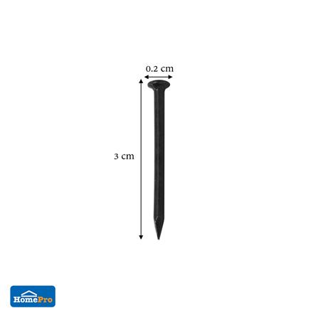 ตะปูคอนกรีตดำ DEXZON 30X20 มม. แพ็ก 100 ชิ้น_2