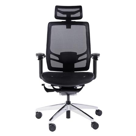 เก้าอี้เพื่อสุขภาพ ERGOTREND WISBY สีดำ