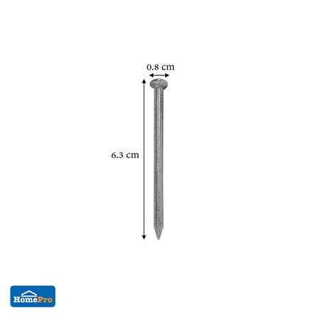 ตะปูคอนกรีตขาว DEXZON 2-1/2 นิ้ว 1 กก._2