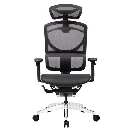 เก้าอี้เพื่อสุขภาพ ERGOTREND GOTLAND สีดำ