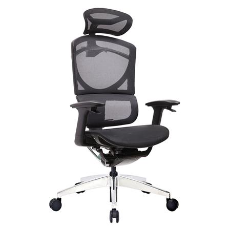 เก้าอี้เพื่อสุขภาพ ERGOTREND GOTLAND สีดำ_1