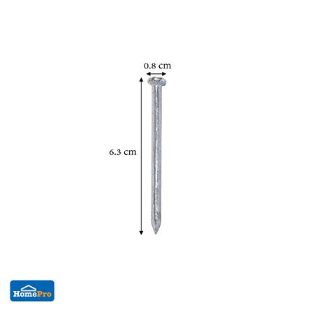 ตะปูคอนกรีตขาว DEXZON 2-1/2 นิ้ว แพ็ก 20 ชิ้น_2