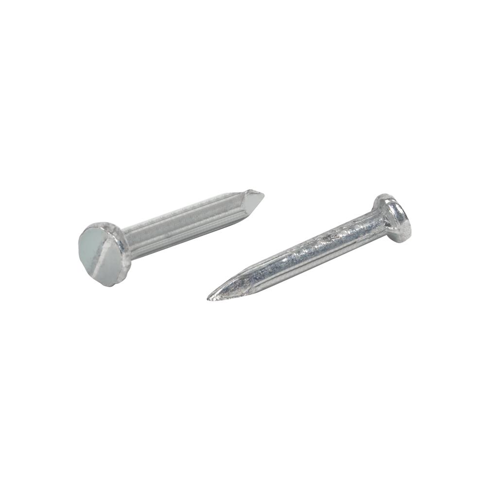 ตะปูคอนกรีตขาว DEXZON 1 นิ้ว 1 กก.