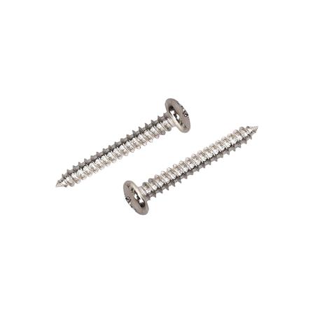 สกรูเกลียวปล่อย TP DEXZON 6X1 นิ้ว 25 ตัว