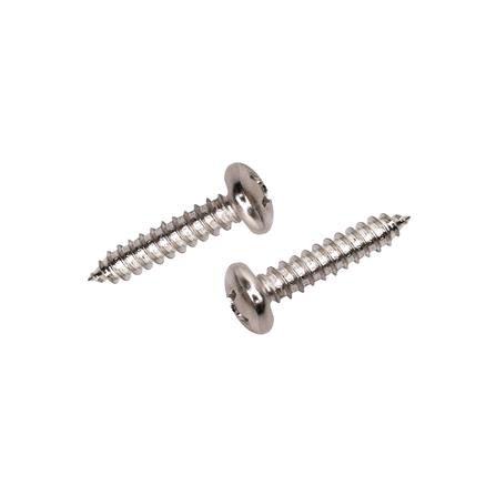 สกรูเกลียวปล่อย TP DEXZON 12X1 นิ้ว 30 ตัว