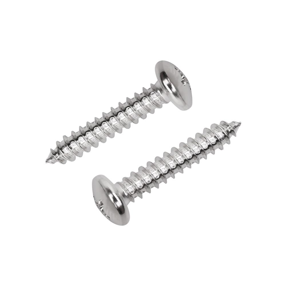 สกรูเกลียวปล่อย TP DEXZON 10X1 นิ้ว 30 ตัว