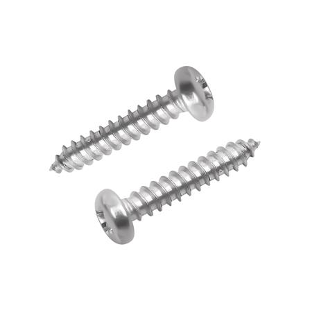 สกรูเกลียวปล่อย TP DEXZON 3x15 มม. (แพ็ก 25 ชิ้น)_0